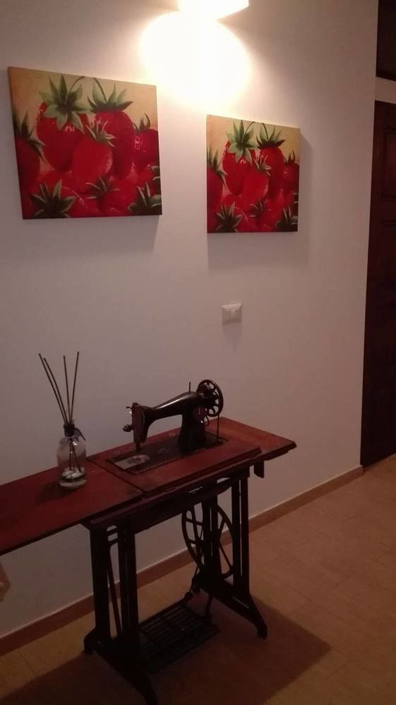 B&B Le Coppe Bisceglie Dış mekan fotoğraf